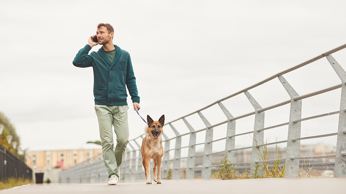 Os melhores horários para passear com seu cachorro